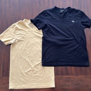 Two Express v neck tees